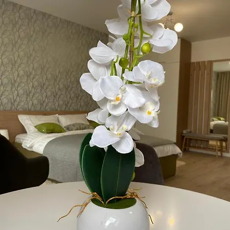 Intercity Premium Accommodations Cluj Napoca * Cluj-Napoca