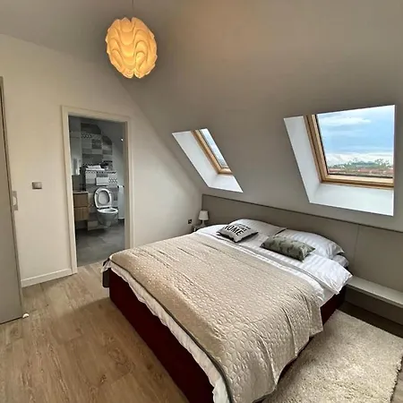 Intercity Premium Accommodations Cluj Napoca Vandrerhjem Cluj-Napoca